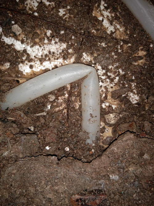 阳原堵点精准查找